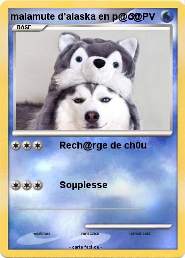 Pokemon malamute d'alaska en p@c@