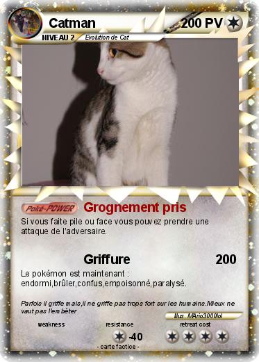 Pokemon Catman