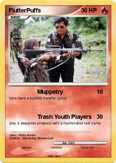 Pokemon FlutterPuffs