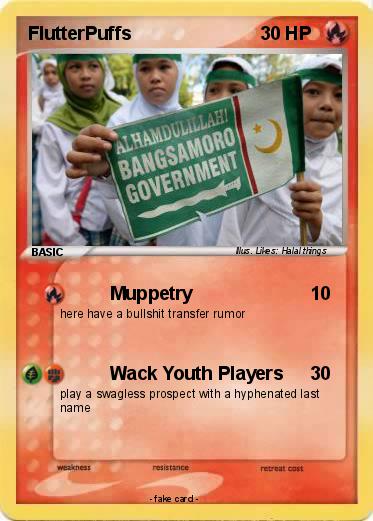 Pokemon FlutterPuffs