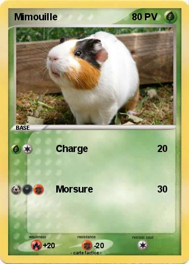 Pokemon Mimouille