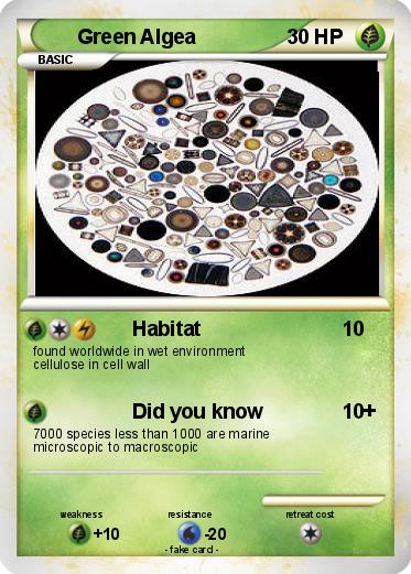 Pokemon Green Algea
