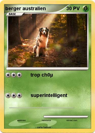 Pokemon berger australien