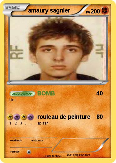Pokemon amaury sagnier