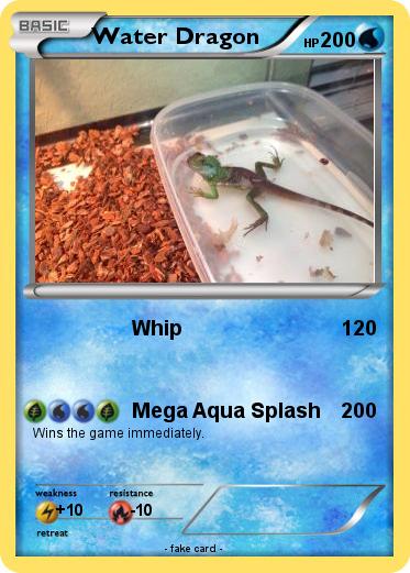 Pokemon Water Dragon