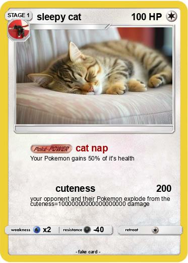 Pokemon sleepy cat