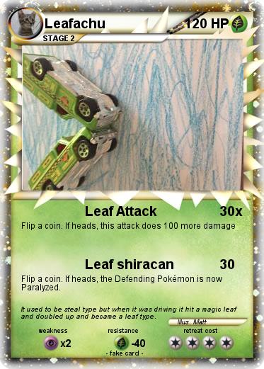 Pokemon Leafachu