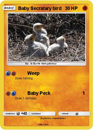 Pokemon Baby Secratary bird