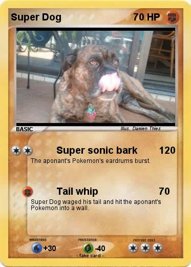 Pokemon Super Dog
