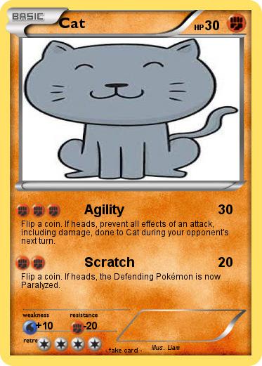 Pokemon Cat