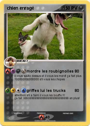 Pokemon chien enragé