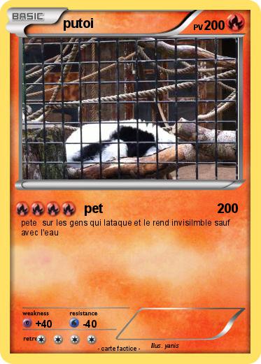 Pokemon putoi