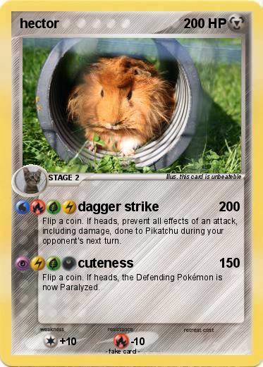 Pokemon hector