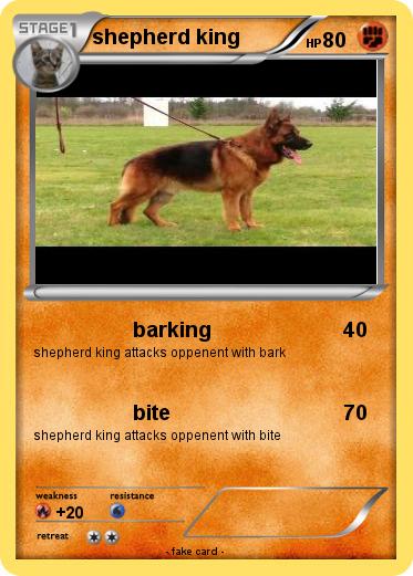 Pokemon shepherd king