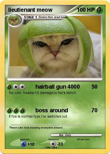 Pokemon lieutienant meow
