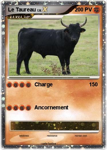 Pokemon Le Taureau