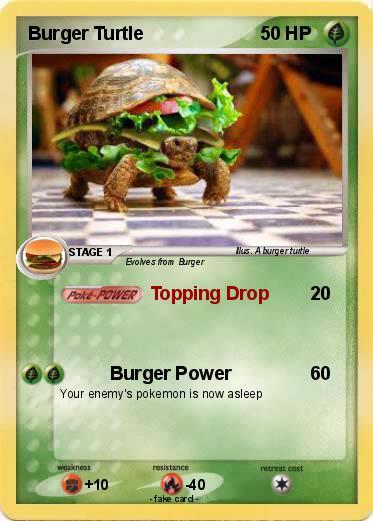 Pokemon Burger Turtle
