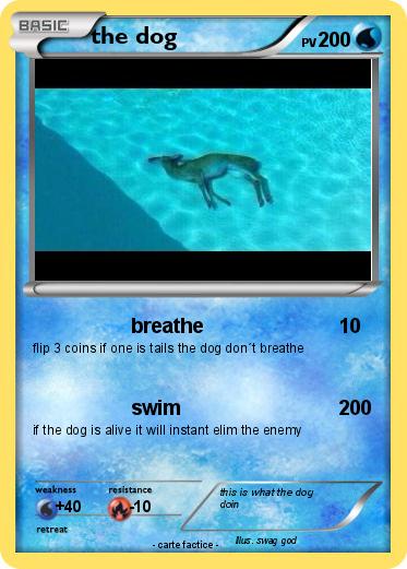 Pokemon the dog