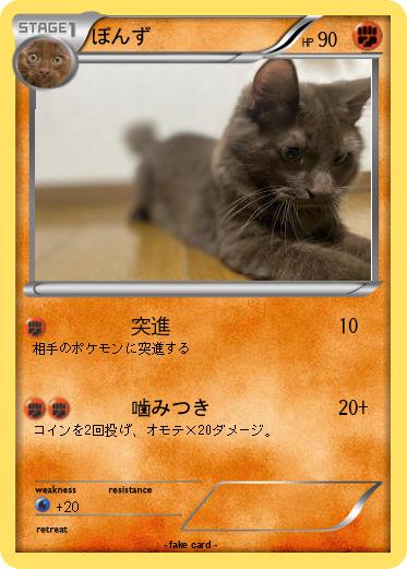 Pokemon ぽんず