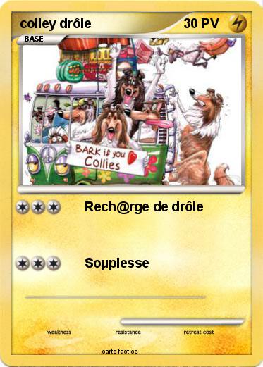 Pokemon colley drôle