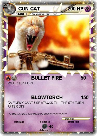 Pokemon GUN CAT