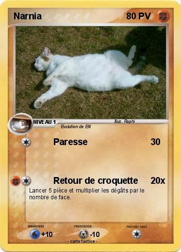 Pokemon Narnia