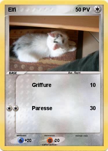 Pokemon Elfi