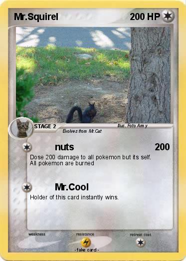 Pokemon Mr.Squirel