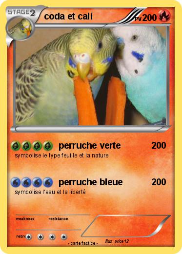 Pokemon coda et cali