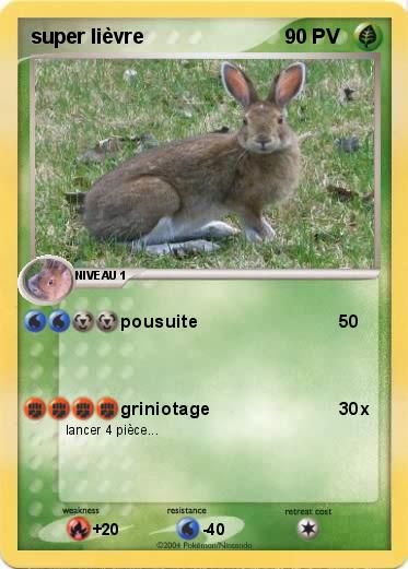 Pokemon super lièvre
