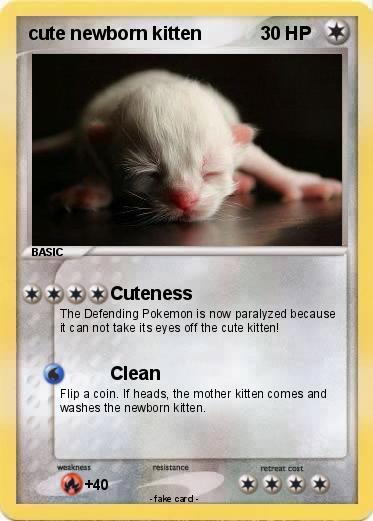 Pokemon cute newborn kitten