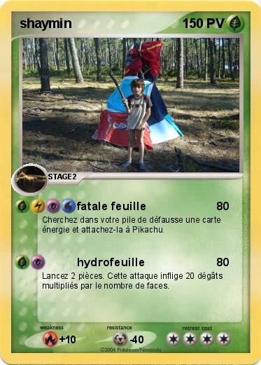 Pokemon shaymin