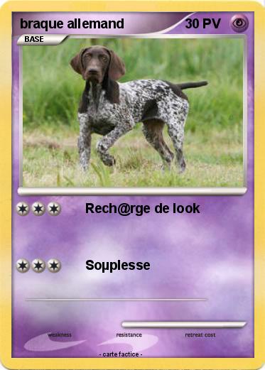 Pokemon braque allemand