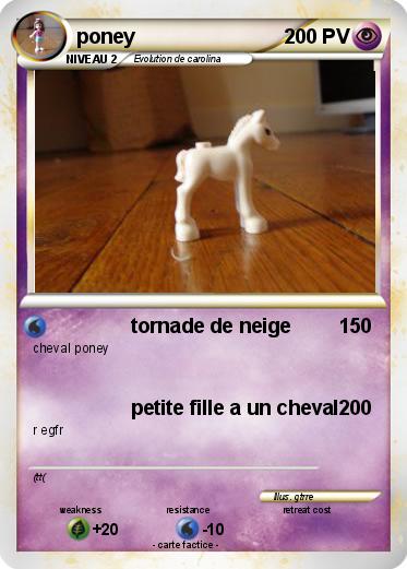Pokemon poney