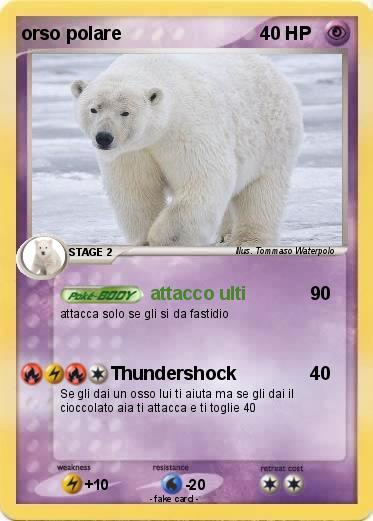 Pokemon orso polare
