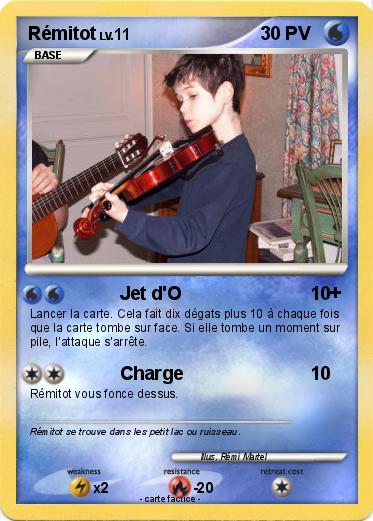 Pokemon Rémitot