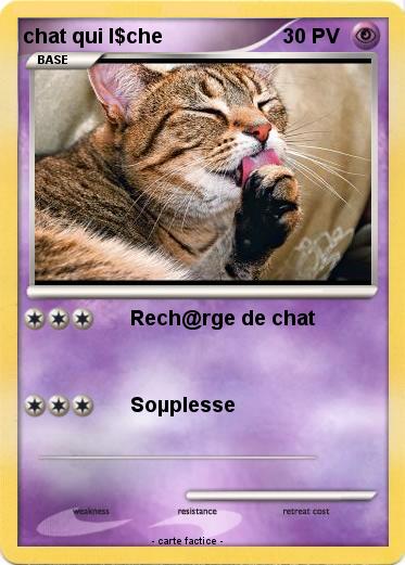 Pokemon chat qui l$che