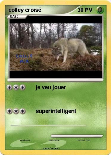 Pokemon colley croisé