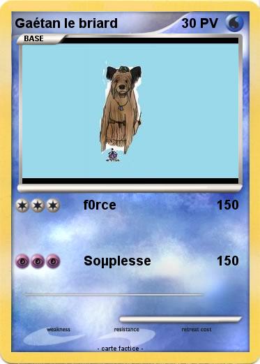 Pokemon Gaétan le briard