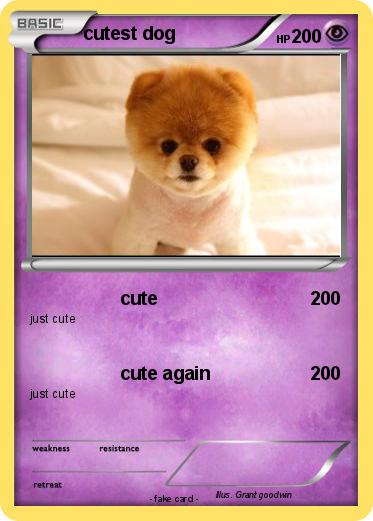 Pokemon cutest dog