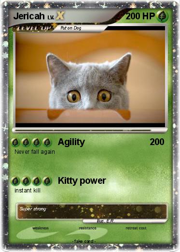 Pokemon Jericah