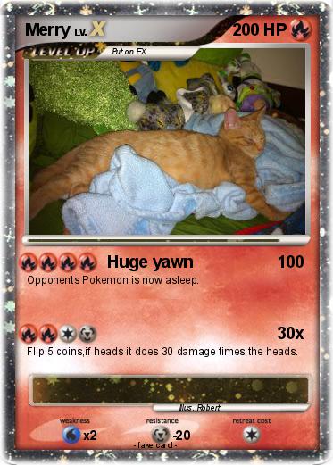 Pokemon Merry