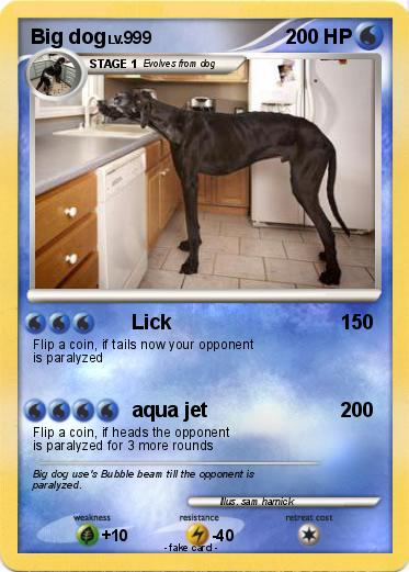 Pokemon Big dog