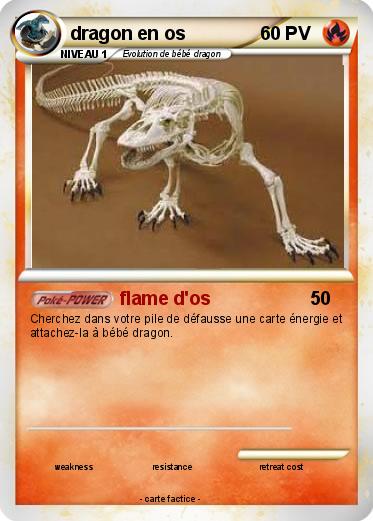 Pokemon dragon en os