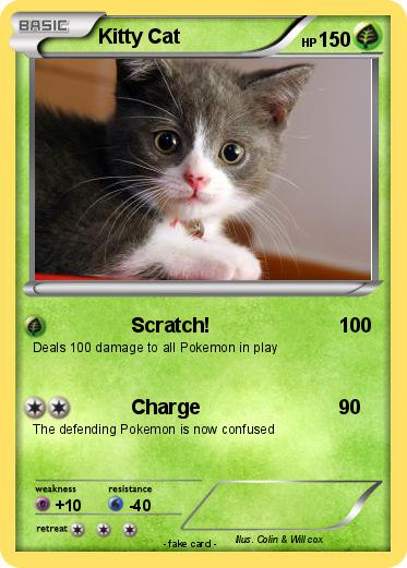 Pokemon Kitty Cat