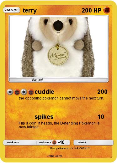 Pokemon terry