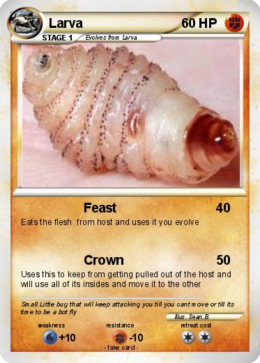 Pokemon Larva