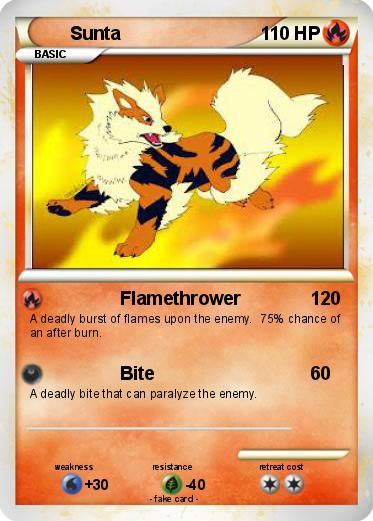 Pokemon Sunta