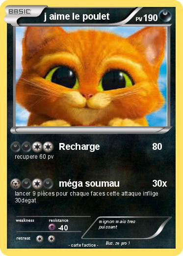 Pokemon j aime le poulet