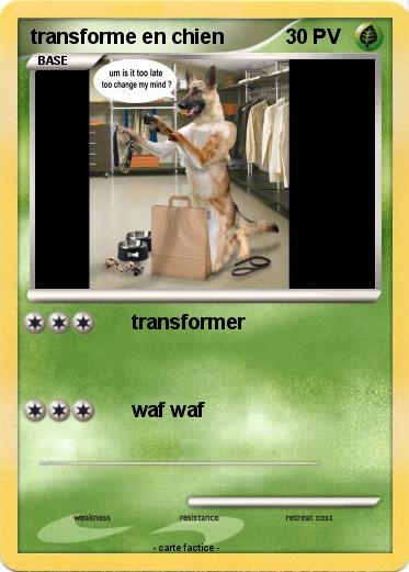Pokemon transforme en chien